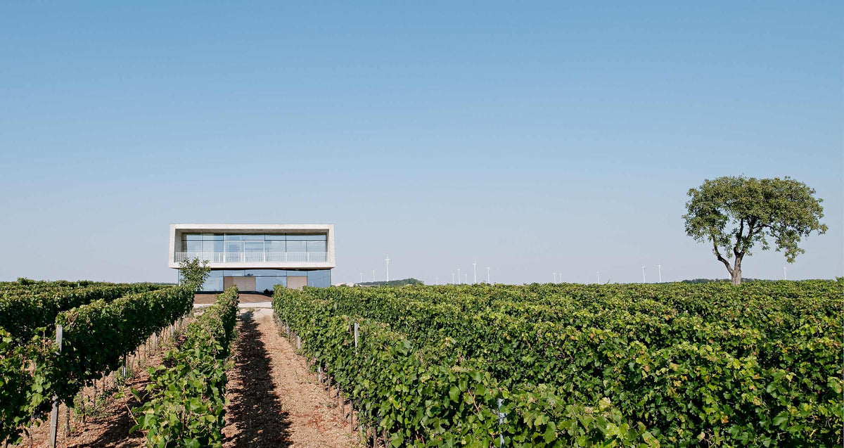Header Weingut Claus Preisinger