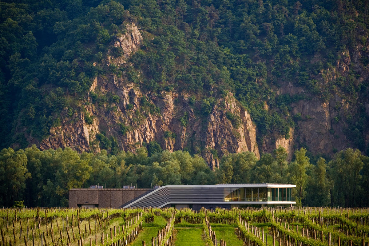 Header Weingut F. X. Pichler