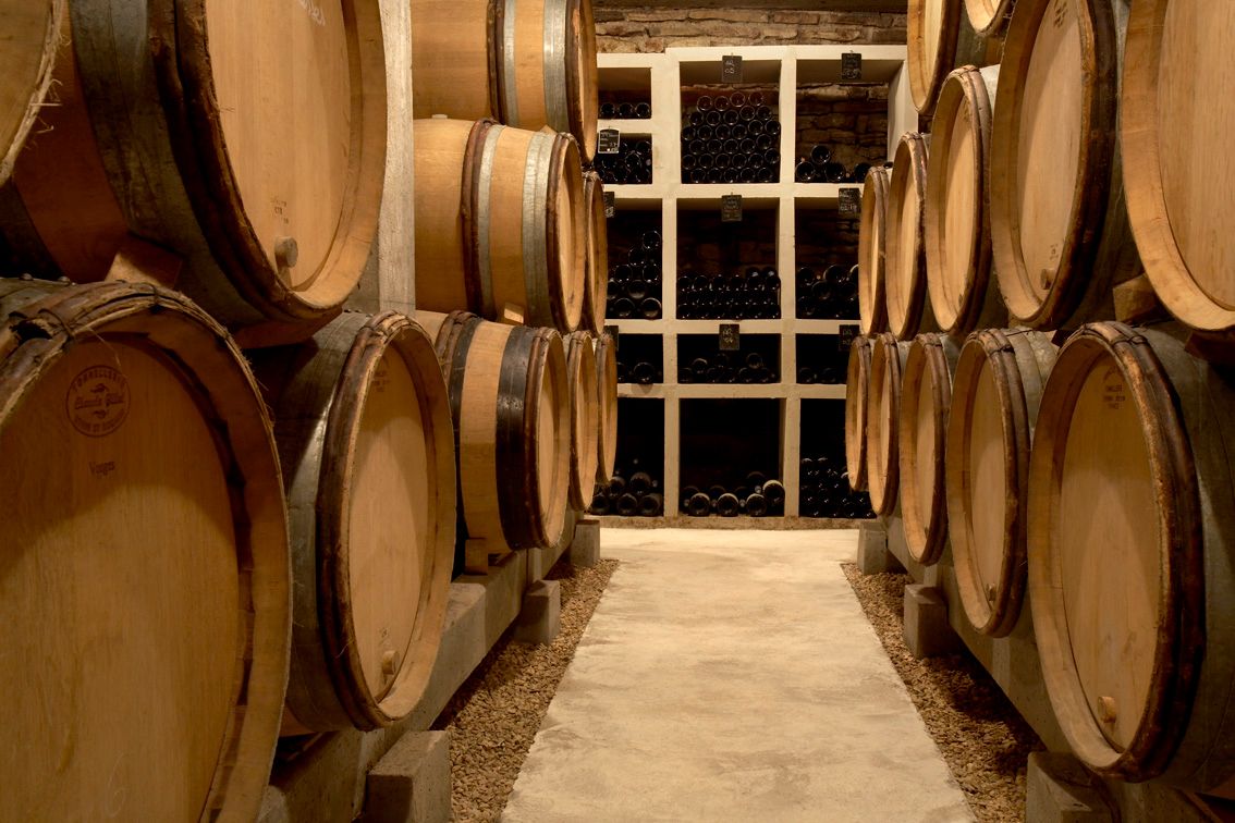 Header Domaine Agnès Paquet
