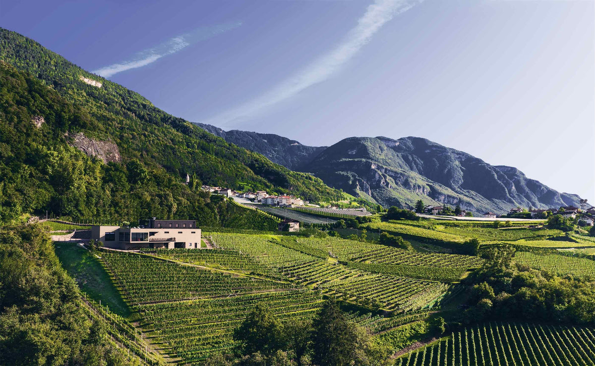 Header Weingut Pfitscher