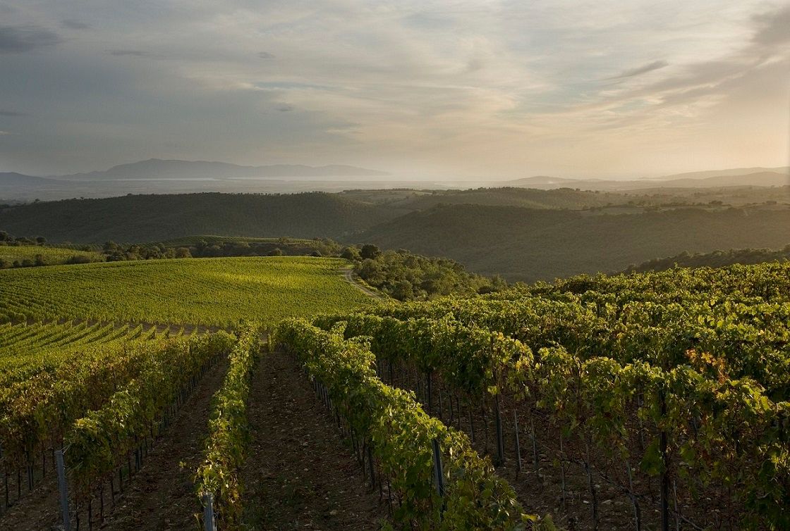 Header Fattoria le Pupille