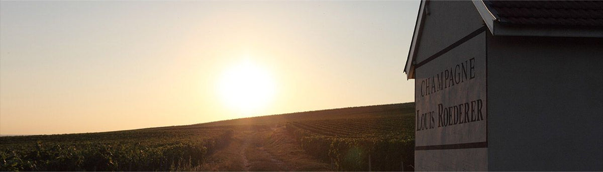 Header Louis Roederer