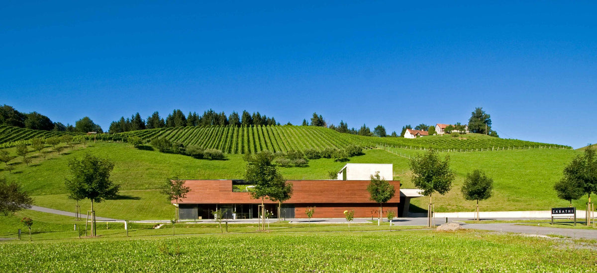 Header Weingut Erwin Sabathi