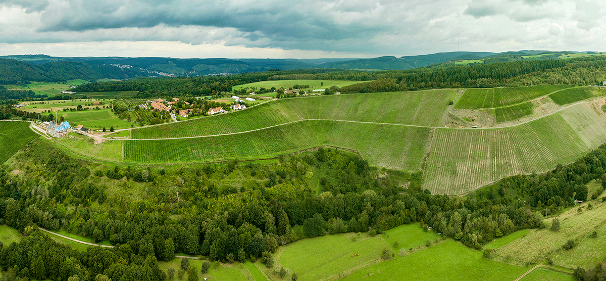 Header Domäne Serrig