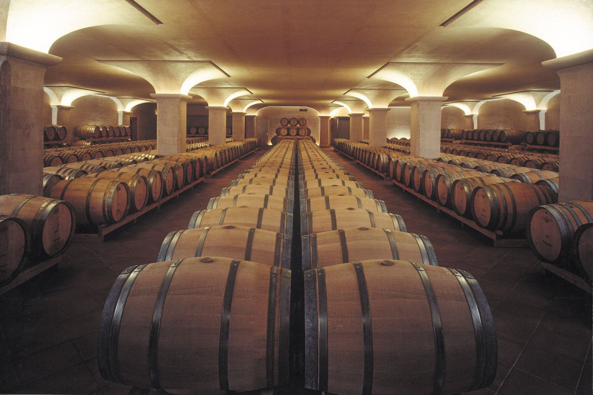 Header Tenuta San Leonardo