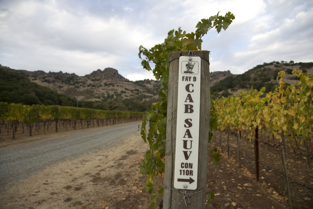 Stag's Leap Wine Cellars Bild 2