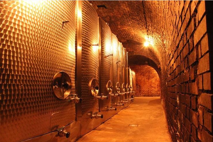 Weingut Weszeli Bild 2