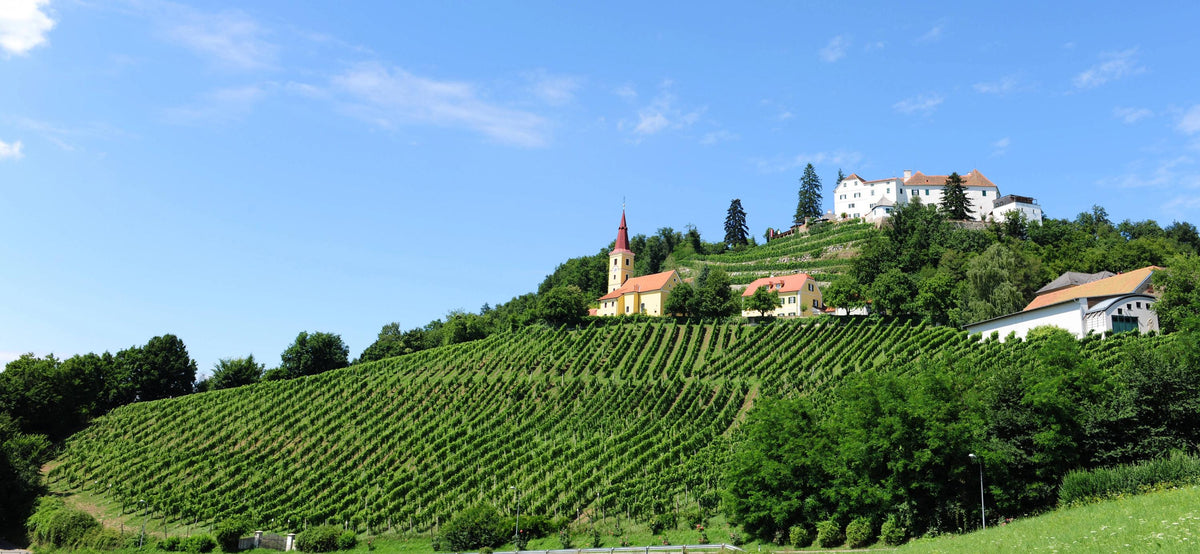 Header Weingut Winkler-Hermaden