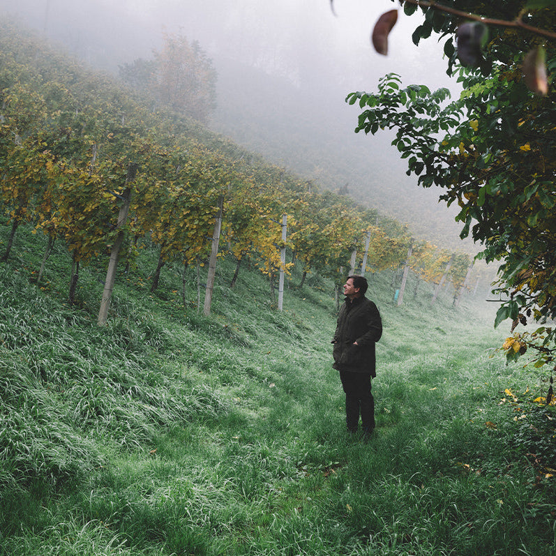 WEINGUT WOHLMUTH