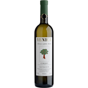 Sauvignon Blanc Ronco delle Mele Collio DOC 2025