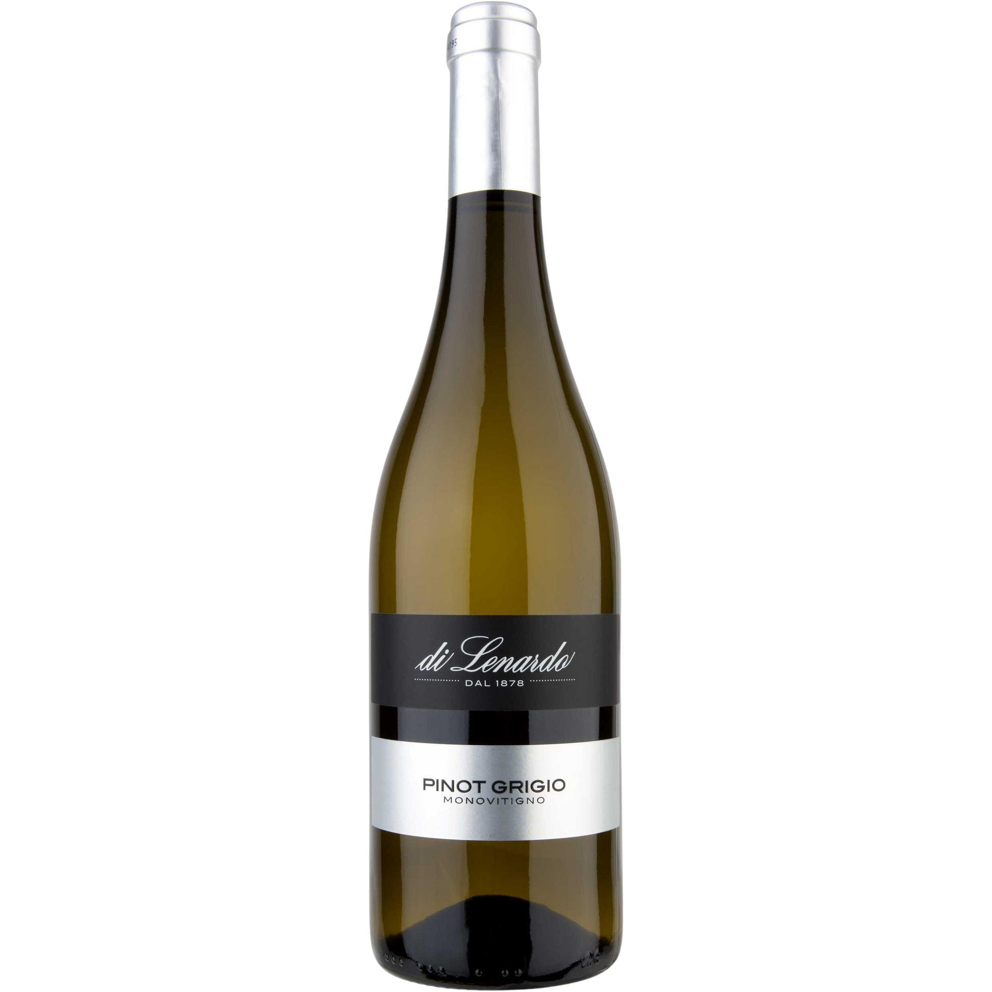 Pinot Grigio Friuli DOC 2025