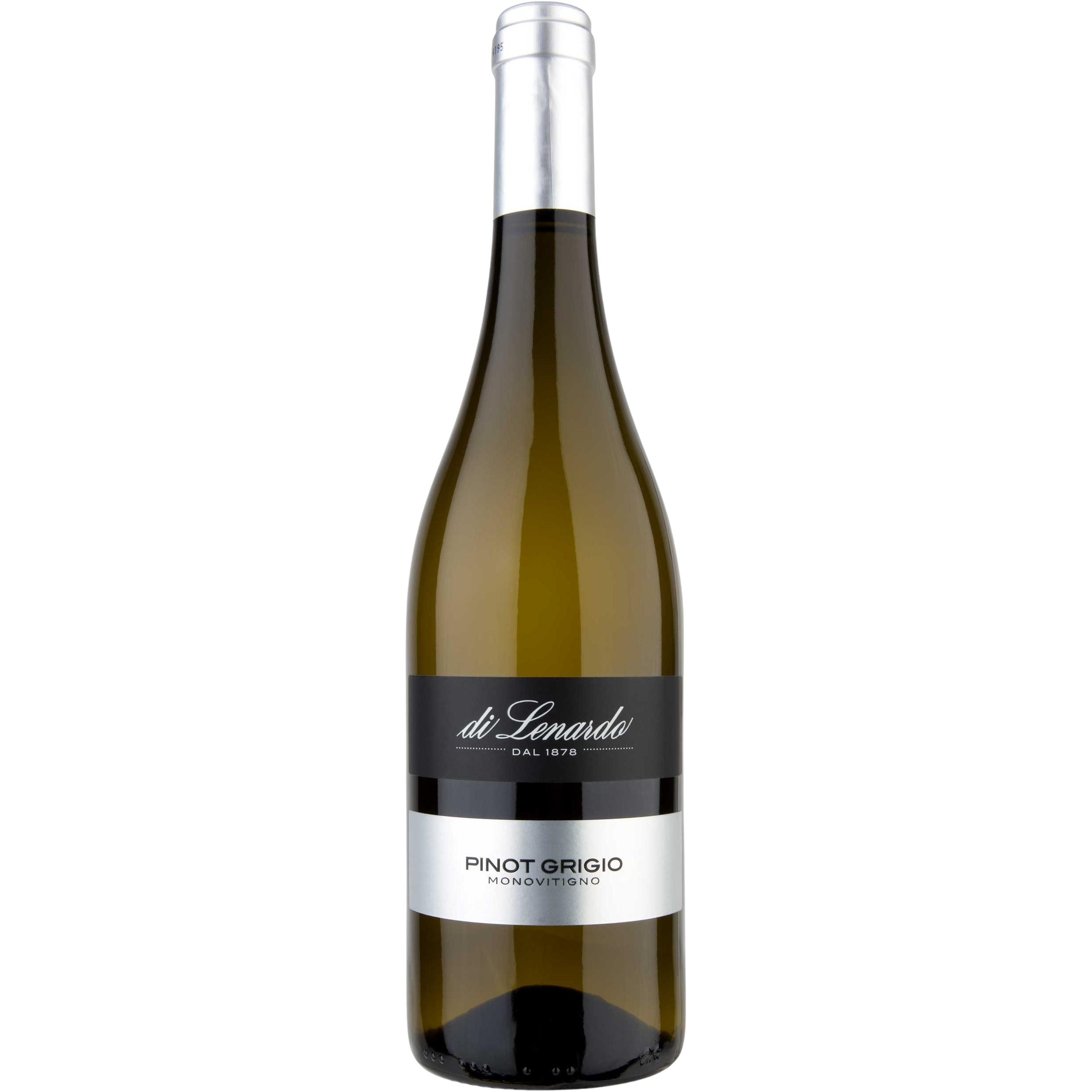Pinot Grigio Friuli DOC 2025