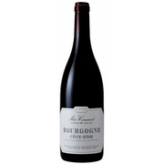 Bourgogne Rouge Côte d'Or Étienne Camuzet 2023