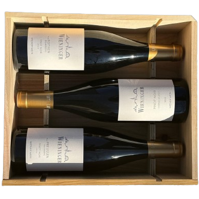 Pinot Noir Grand Cru Paket BIO-dyn 2022