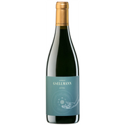 Blaufränkisch Astral 2023